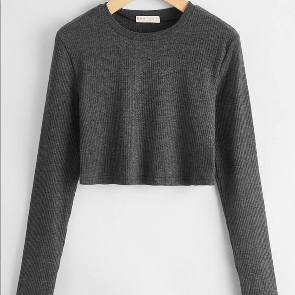 Grey long sleeve crop top